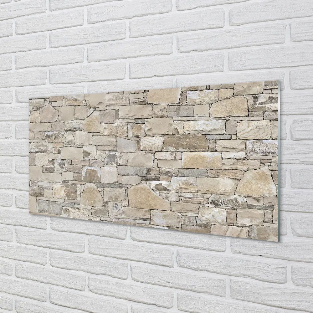 Obraz plexi Kamenná múr wall 100x50 cm