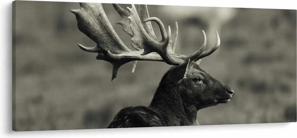 Obraz - Jeleň (120x50 cm)