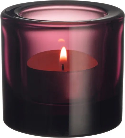 Svietnik Kivi, ružový calluna