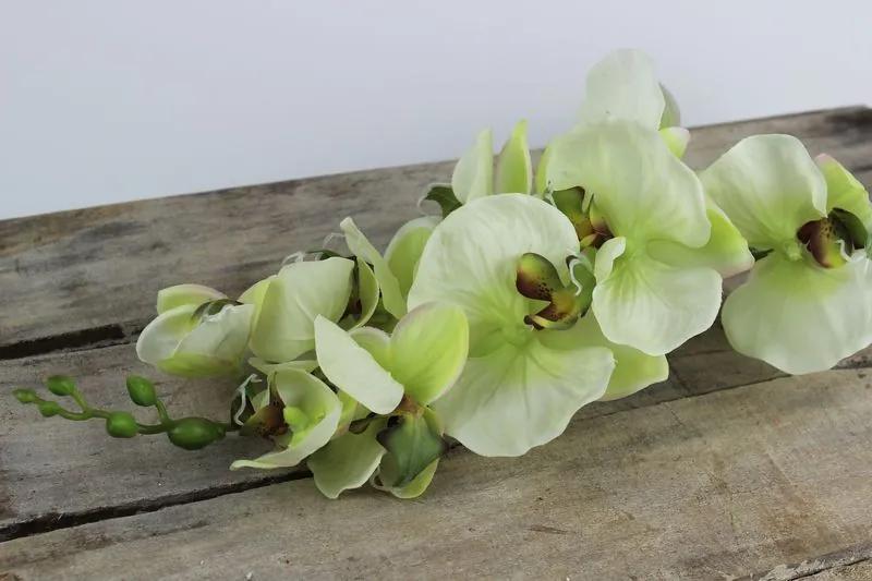 Zelená umelá orchidea na stonke 80cm