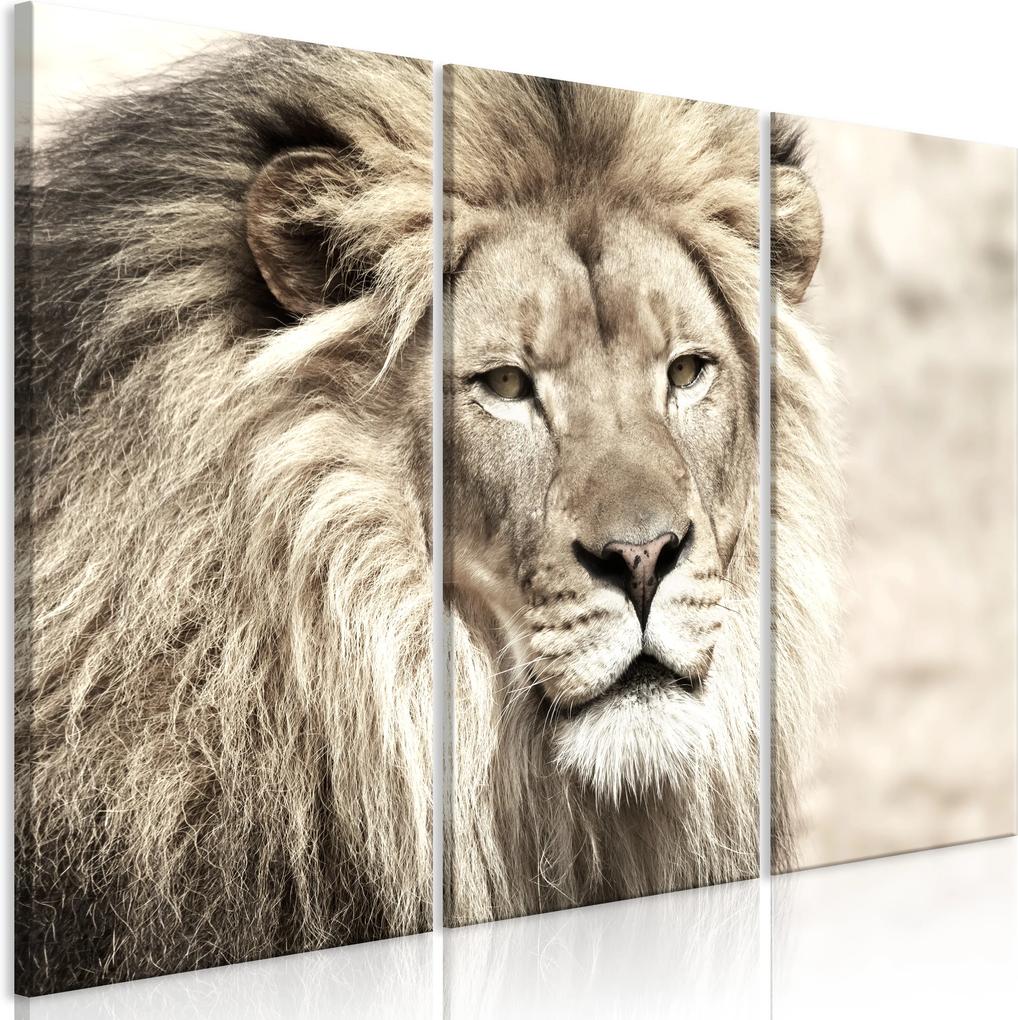 Obraz - The King of Beasts (3 Parts) Beige 90x60