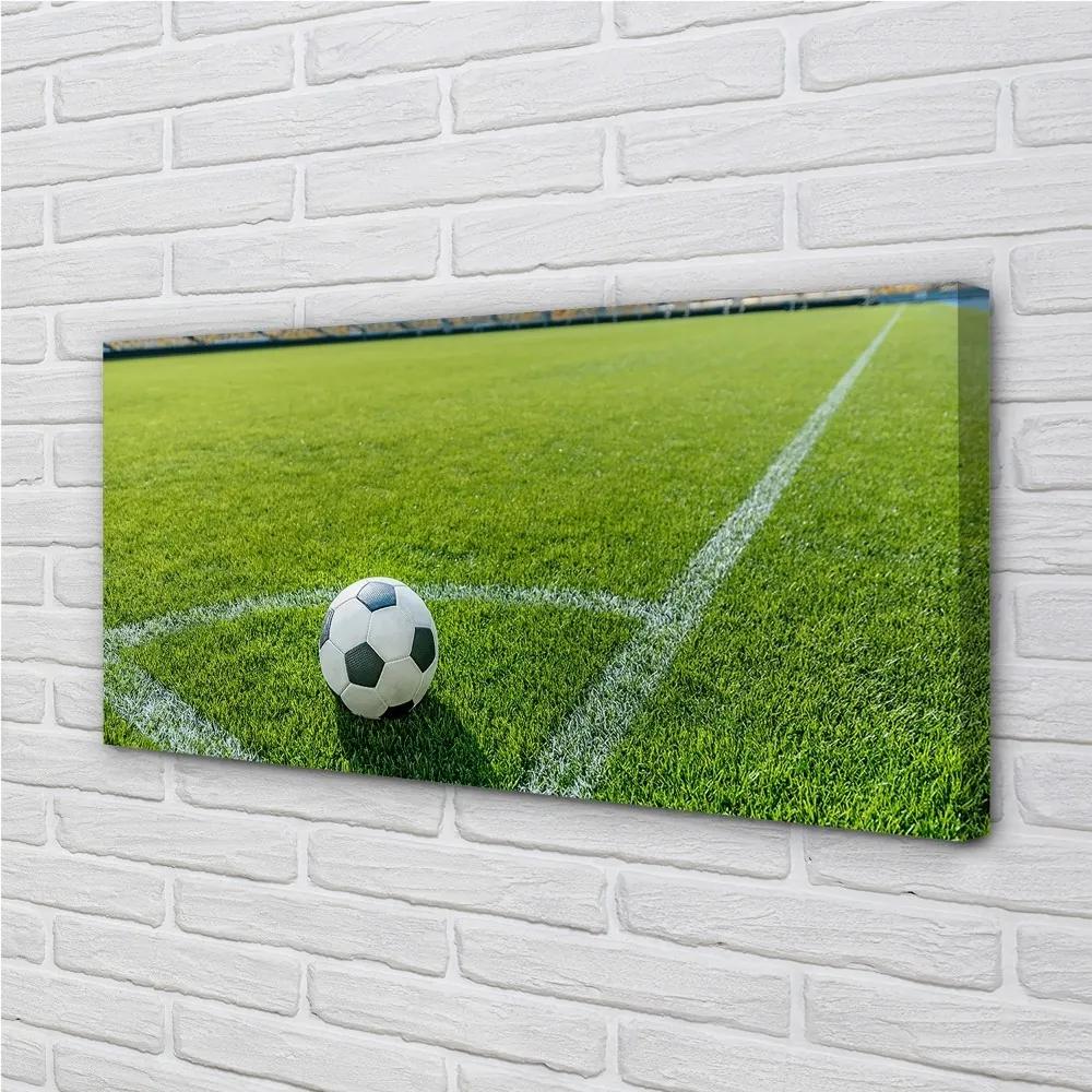 Obraz canvas Futbalový štadión trávy 100x50 cm