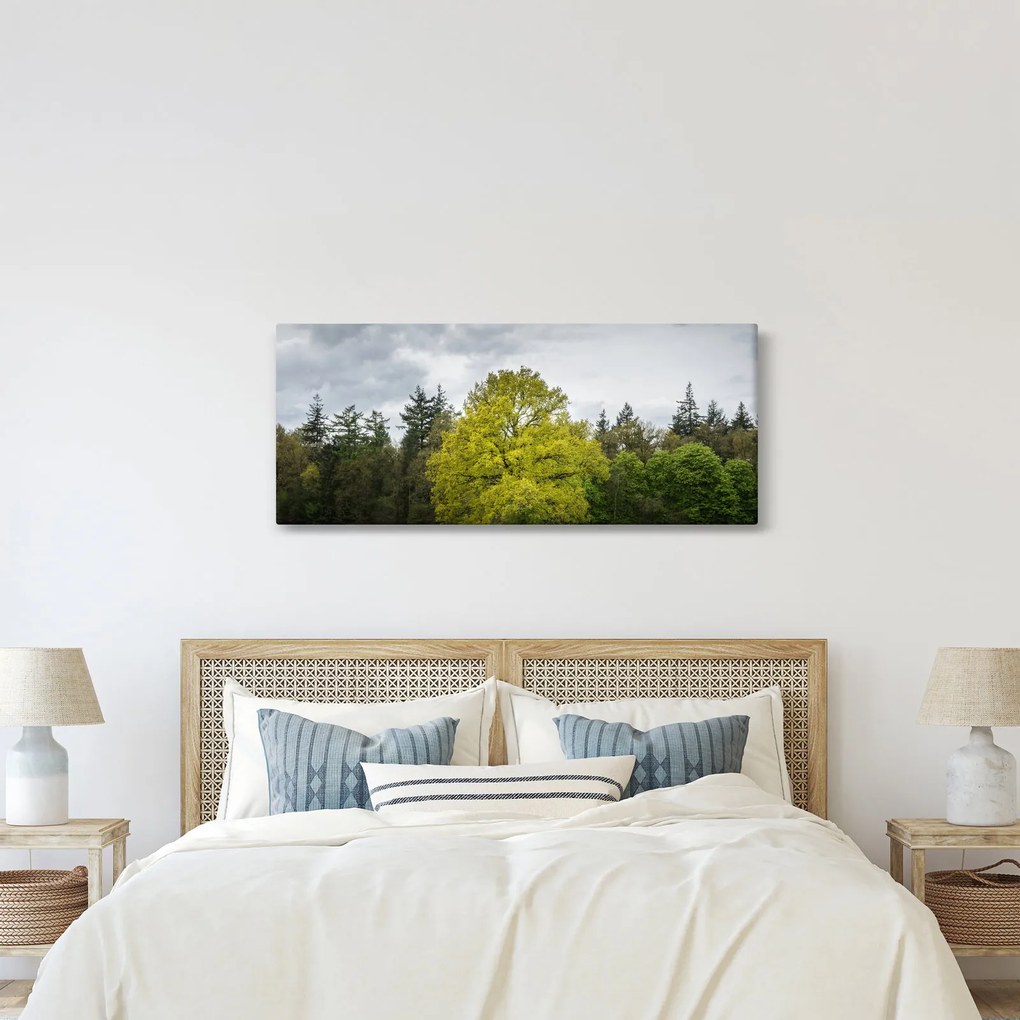 Obraz zeleného stromu uprostred poľa (120x50 cm)