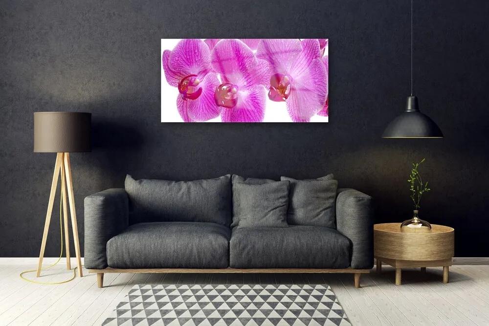 Obraz plexi Kvety rastlina príroda 100x50 cm