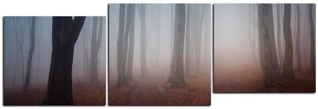 Obraz na plátne - Hmla v lese - panoráma 5182E (120x40 cm)