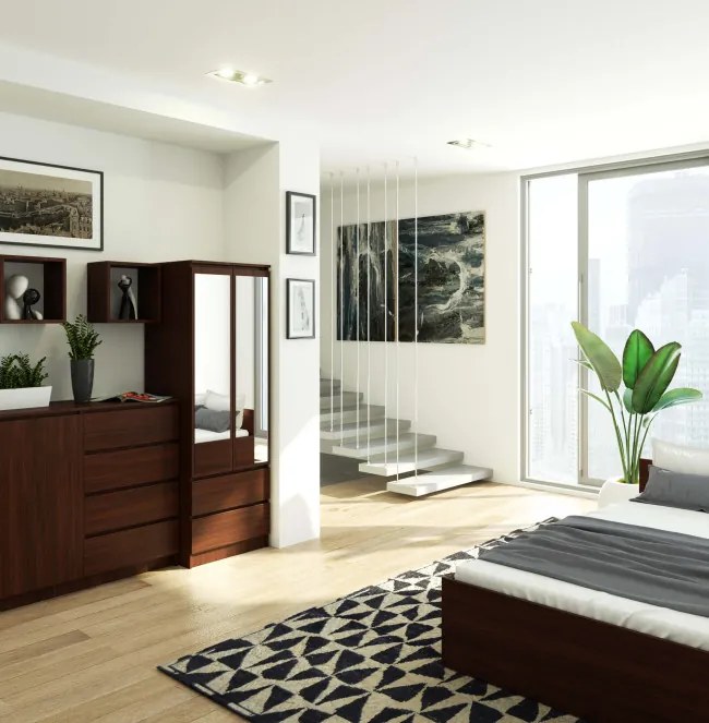 Skriňa STAR S 60 cm 2D 2SZ zrkadlá CLP wenge