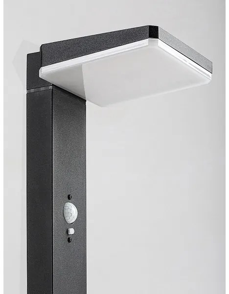 Rabalux 77079 - LED solárna vonkajšia lampa LASSET LED/4,4W/3,7V IP54 antracit