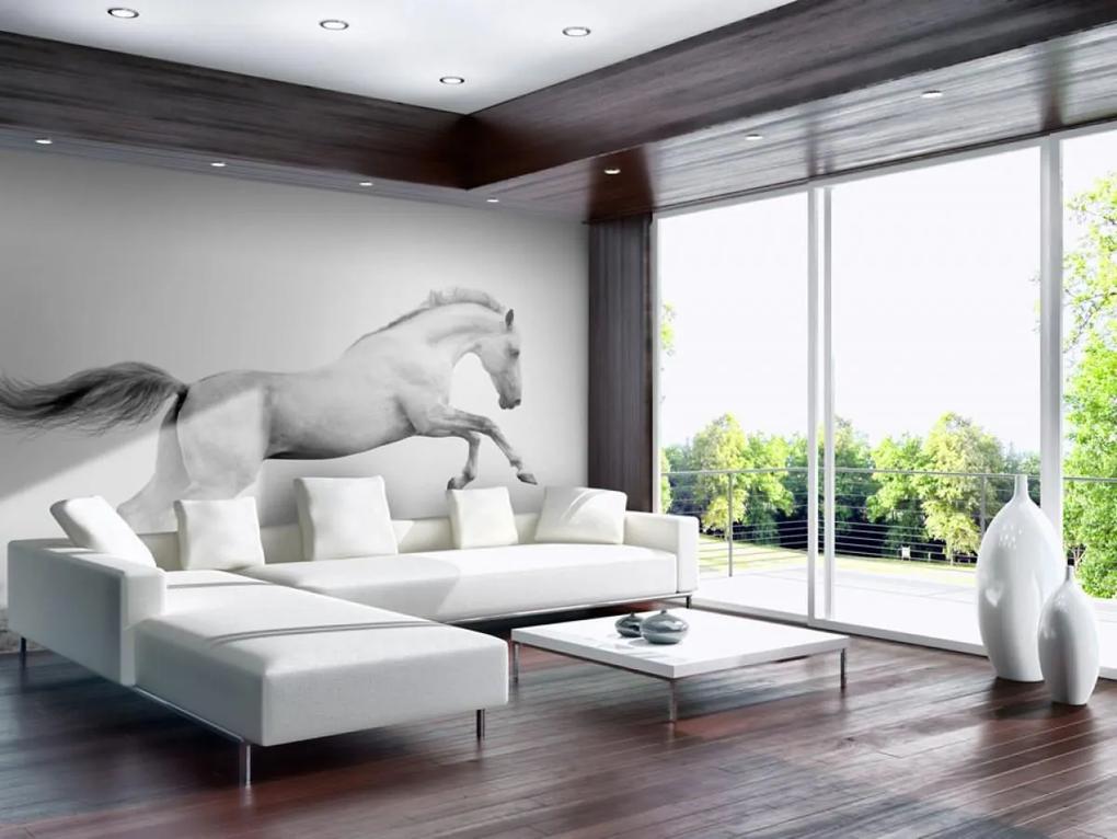 Murando DeLuxe Fototapeta Bílý kůň 150x116 cm