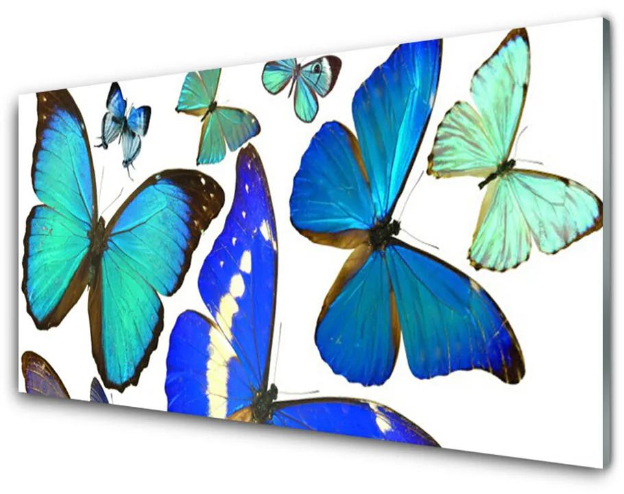 Nástenný panel  Motýle príroda 140x70cm