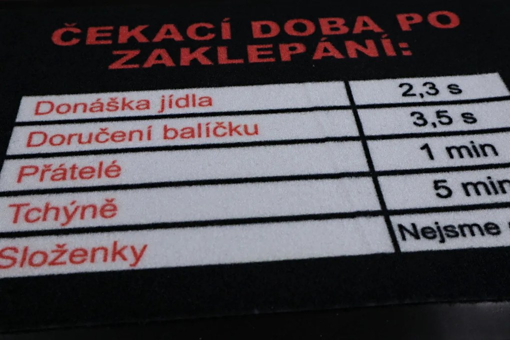 GDmats, Rohožka Čakacia doba 40x60 cm – na von aj na doma, 40x60, šedá