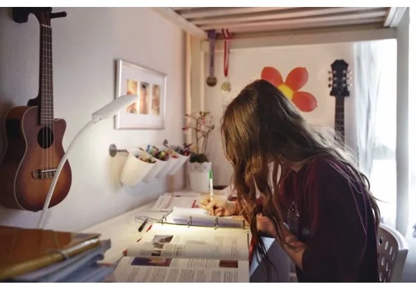 Ledvance - LED Stmievateľná dotyková stolná lampa PANAN LED/5,2W/5V