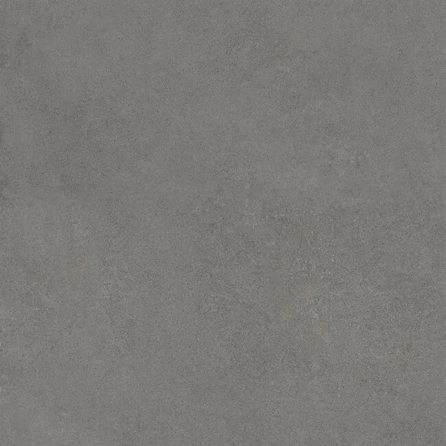 Dlažba Rawtech Grey 60x60
