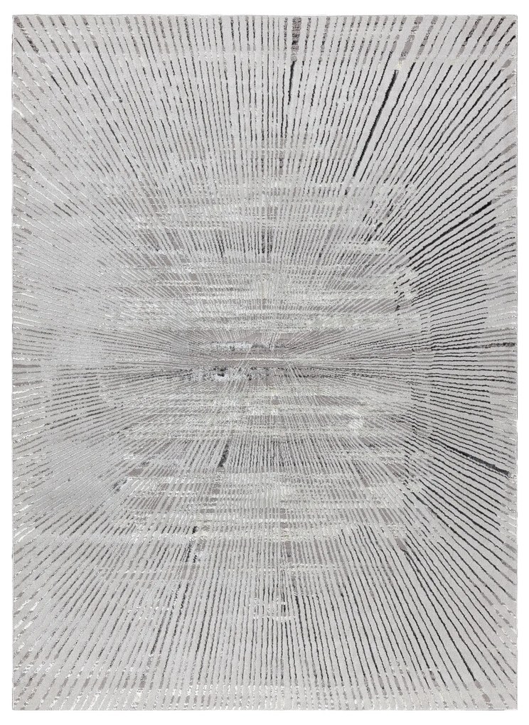 Koberec BLISS Z206AZ256 svetlosivý/sivý - Čiary, moderný, štrukturálny