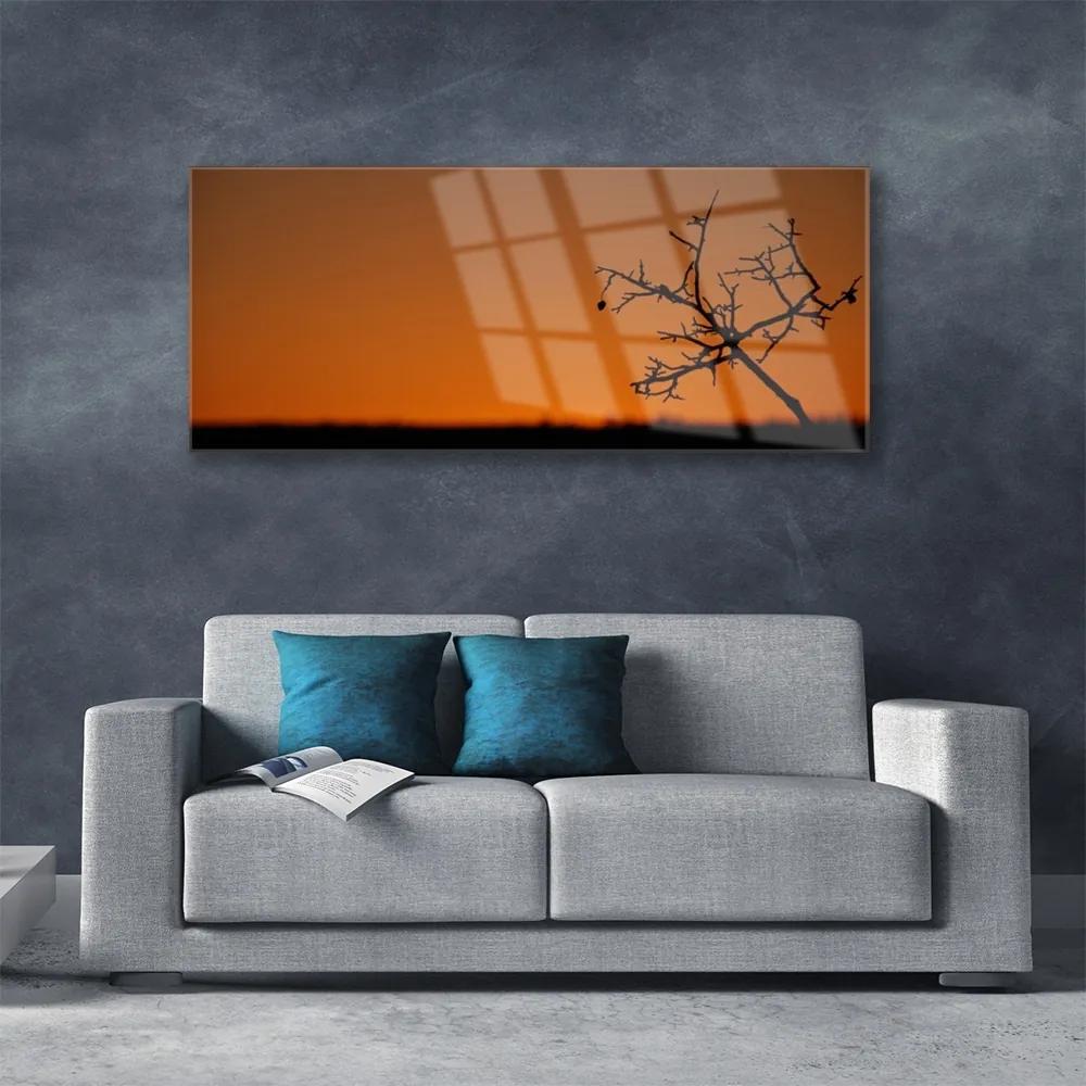 Obraz na akrylátovom skle Strom umenie 125x50 cm