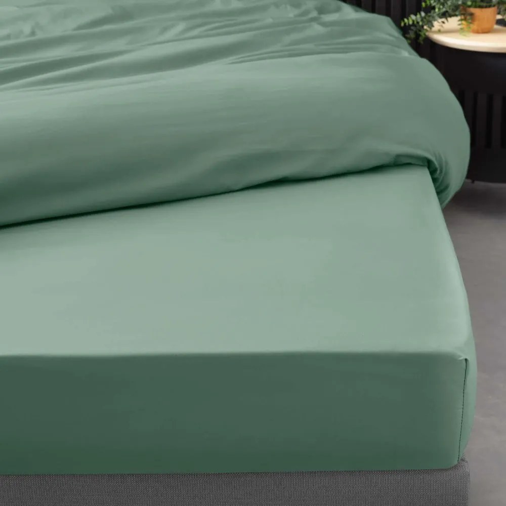 Zelená napínacia plachta z bavlneného perkálu 180x200 cm Percaline – douceur d'intérieur