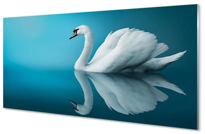 Sklenený obraz Swan vo vode 100x50 cm