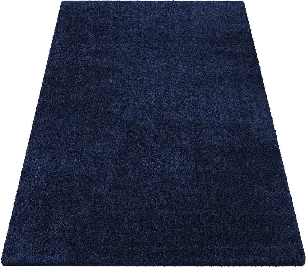 DY Obdĺžnikový tmavomodrý shaggy koberec Kamel Rozmer: 160x220 cm