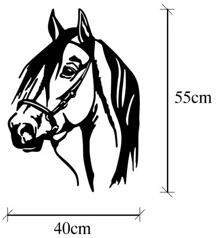 Nástenná dekorácia 55x40 cm kôň kov