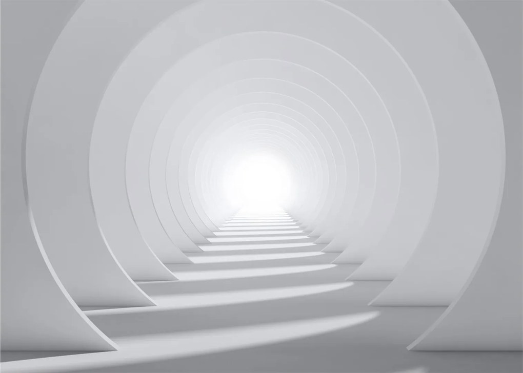 Obraz - 3D tunel (70x50 cm)