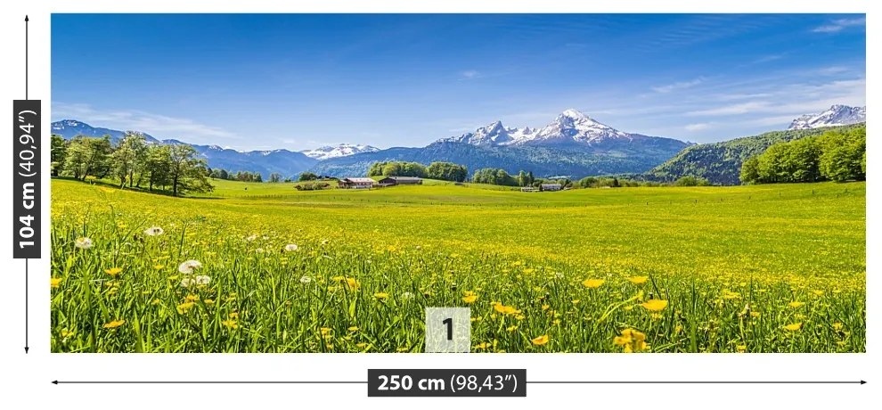 Fototapeta Vliesová Alpské lúky 152x104 cm