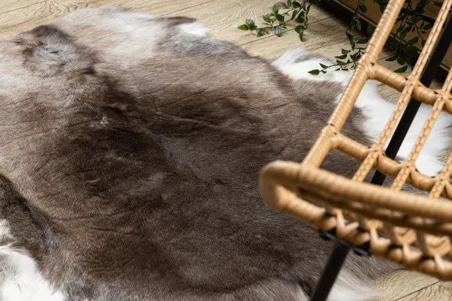 Koberec RENIFER POK014 hnedý / sivý