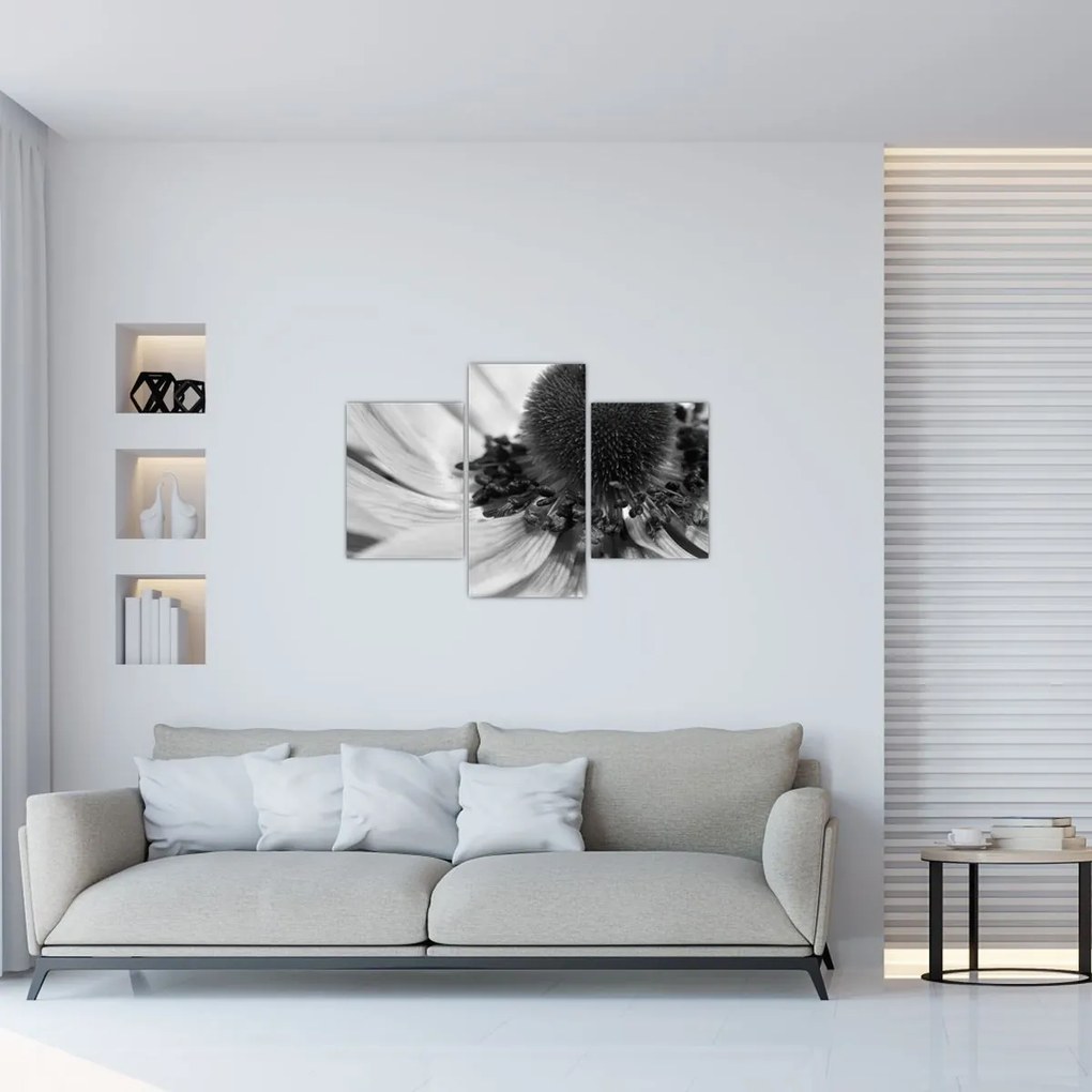 Obraz - Kvetina v čiernobielej (90x60 cm)