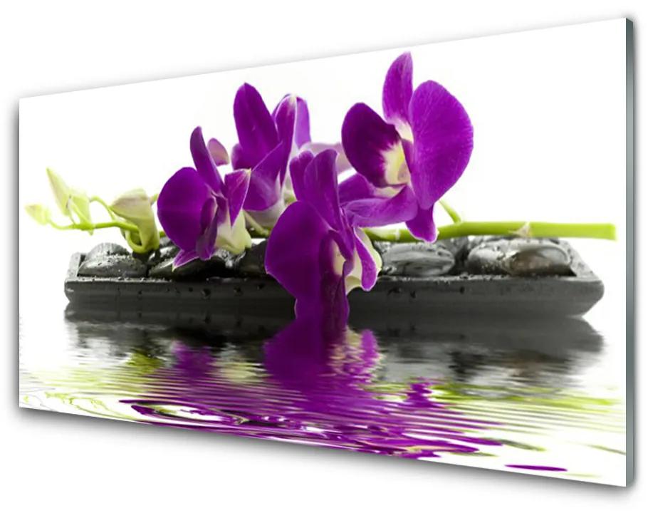 Obraz plexi Kvety rastlina príroda 100x50cm