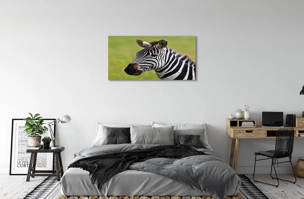 Obraz na plátne zebra 140x70 cm