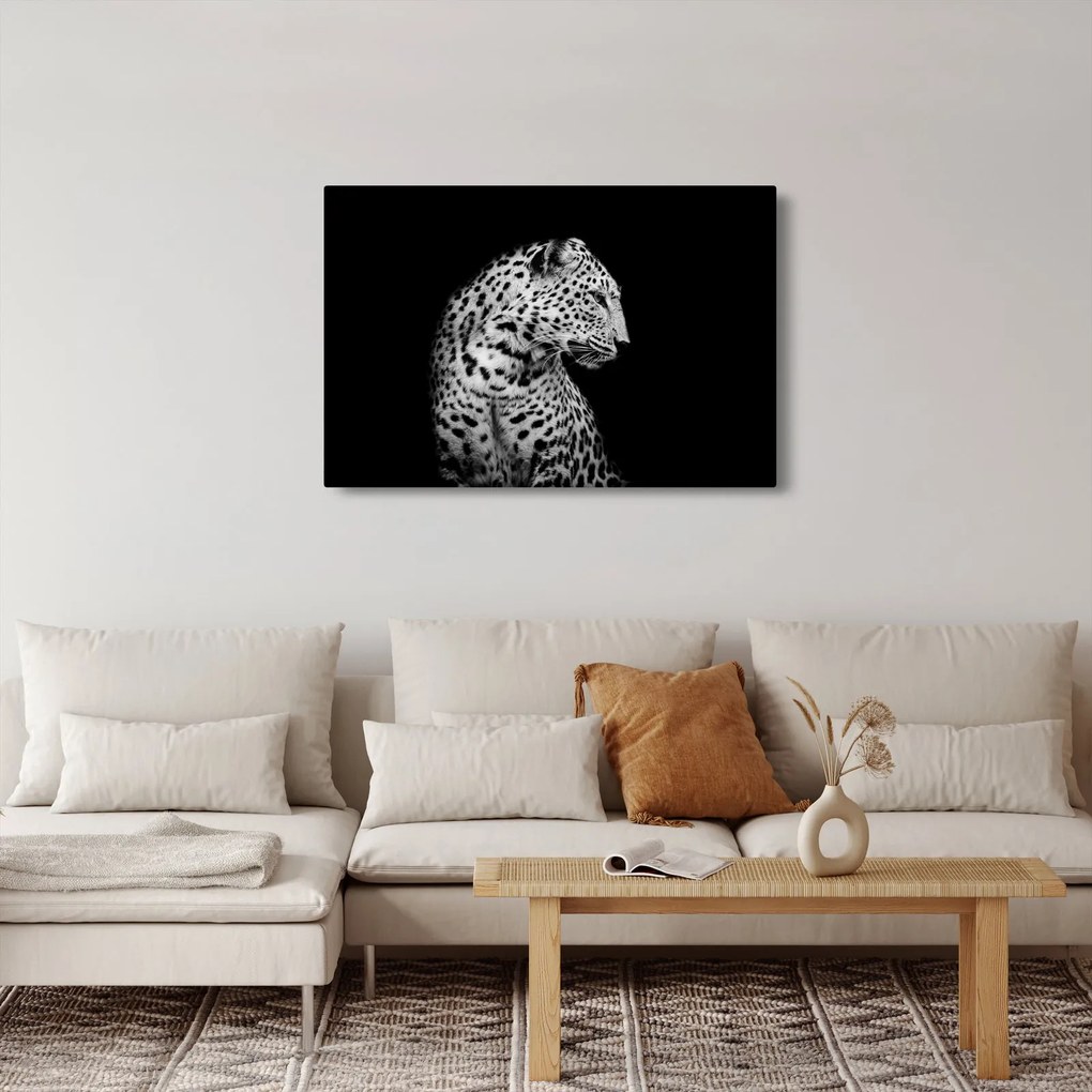 Obraz - Leopard (90x60 cm)