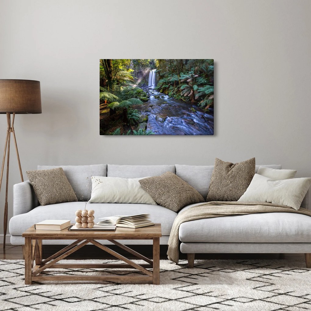 Obraz australského dažďového lesa (90x60 cm)