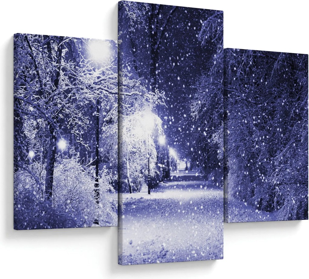 Obraz - Čarovná zimná noc (90x60 cm)