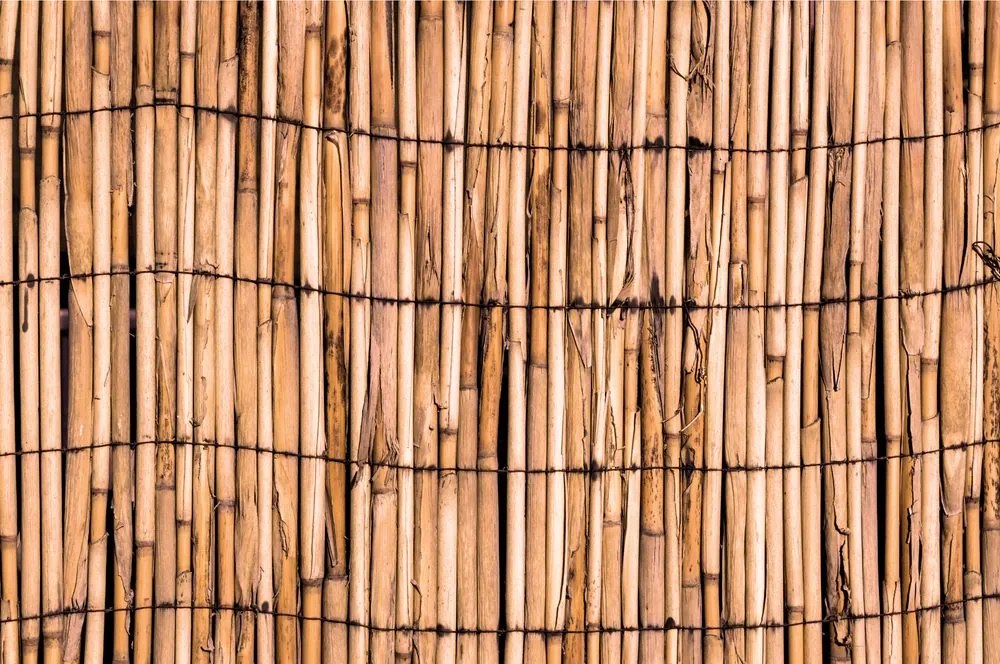 Samolepiaca fototapeta bambusová záhrada