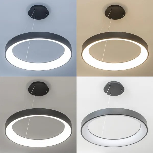 BRILAGI - stmievateľný LED luster na lanku FALCON II LED/99W/230V pr. 60 cm čierny + diaľkové ovládanie