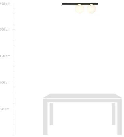 Stropné svietidlo FIT 2xE14/10W/230V čierna/biela