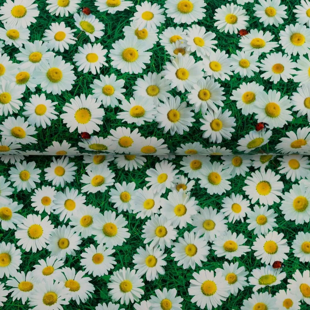 PVC obrus Margaréty na zelenom PV-161 - metráž š. 140 cm