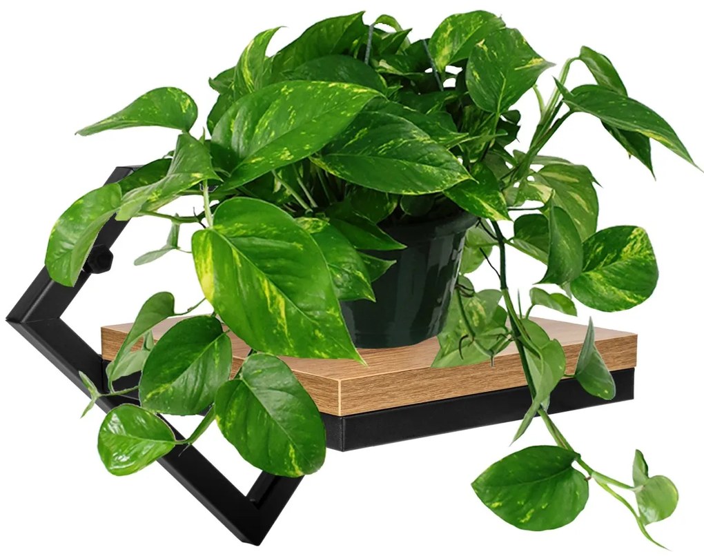 Nástenný stojan na kvety DORON čierna/dub remeselný