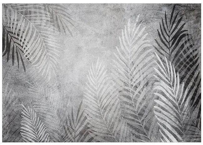 Fototapeta - Palm Trees in the Dark Veľkosť: 100x70, Verzia: Premium