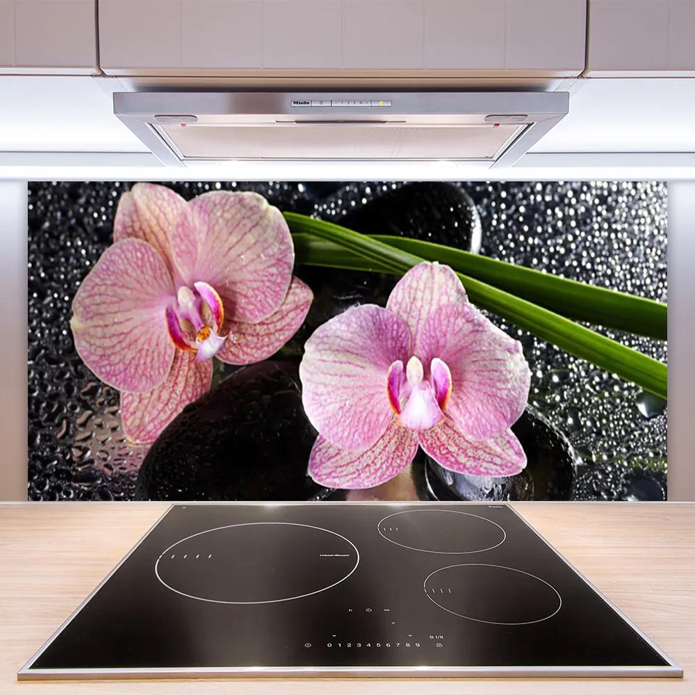Sklenený obklad Do kuchyne Kvety orchidea kamene zen 140x70 cm