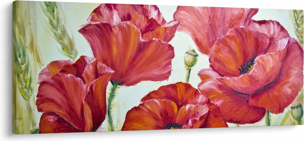Obraz - Kvety vlčích makov (120x50 cm)