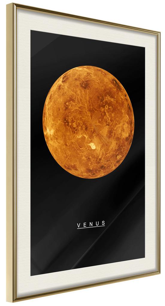 Artgeist Plagát - Venus [Poster] Veľkosť: 40x60, Verzia: Čierny rám s passe-partout