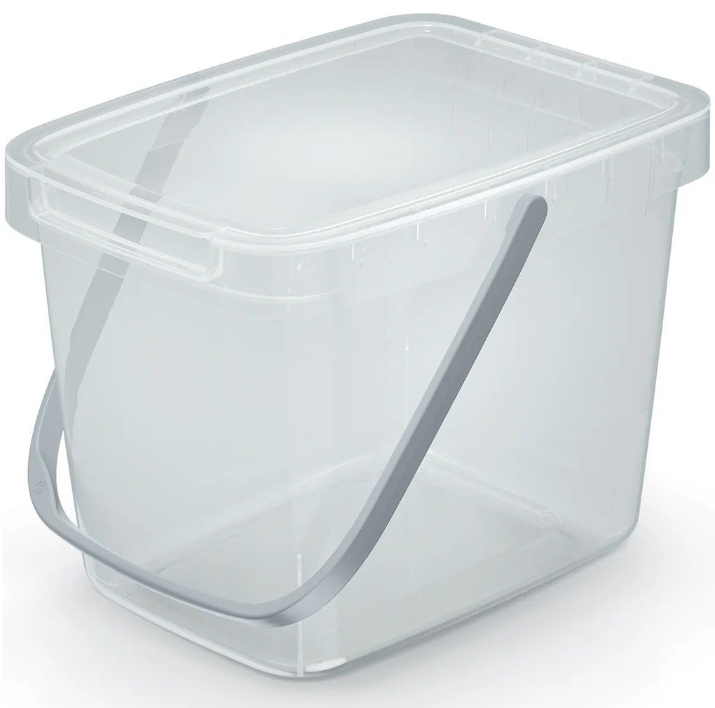 Plastový úložný box s rúčkou NHW6 6 l - priehľadná