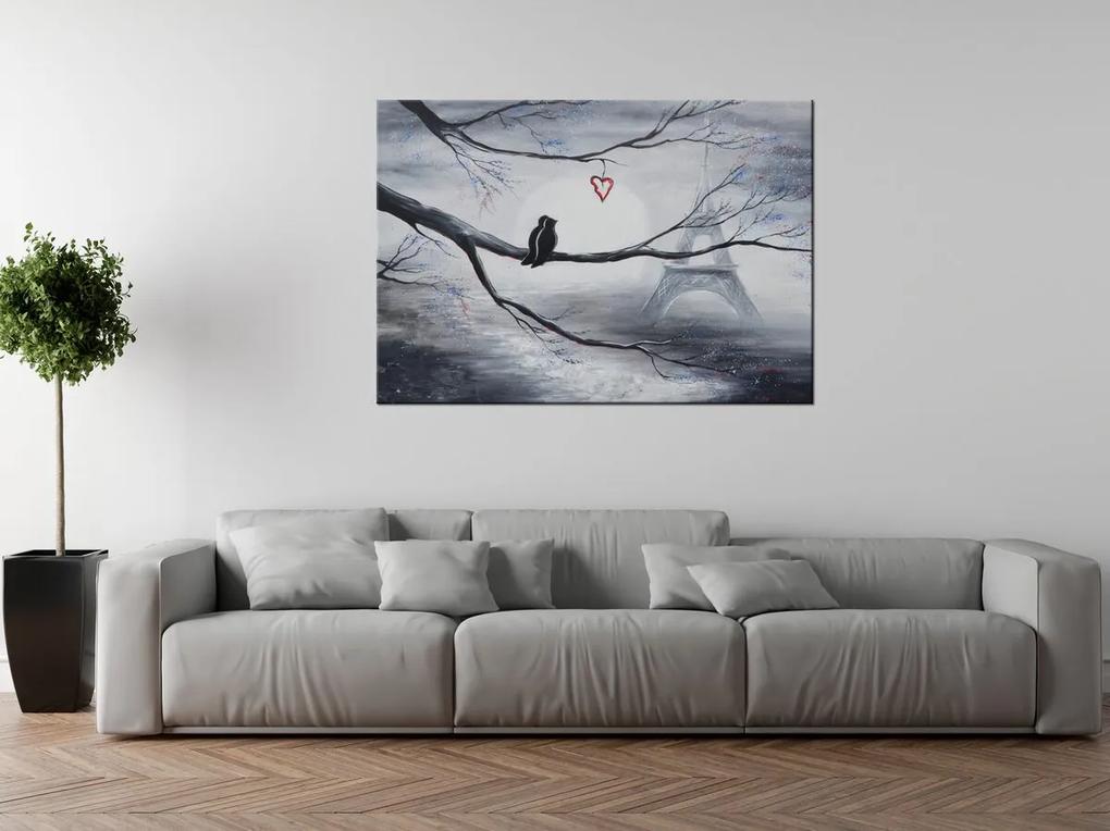 Gario Ručne maľovaný obraz Vtáčia romantika v Paríži Rozmery: 70 x 100 cm