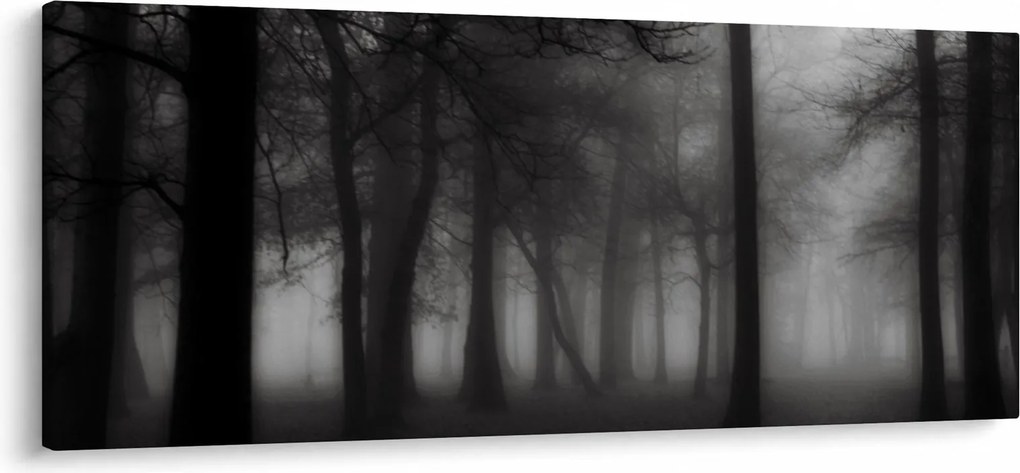 Obraz - Les v hmle (120x50 cm)