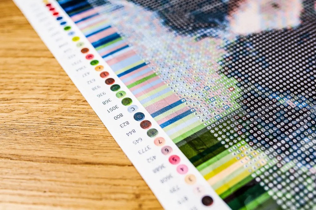 Gario Diamantové maľovanie Vydiamantuj si svoju fotku Rozmery: 60 x 80 cm, Rámovanie: S vnútorným rámom, Diamanty: Štvorcové