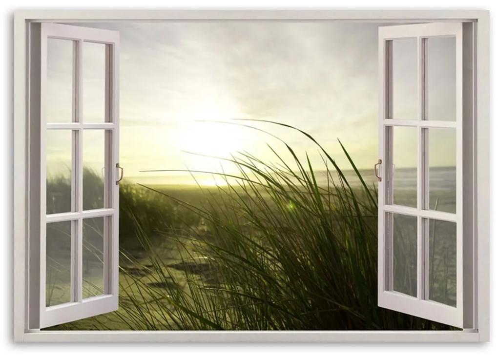 Obraz na plátně Výhled z okna Plážová tráva - 90x60 cm