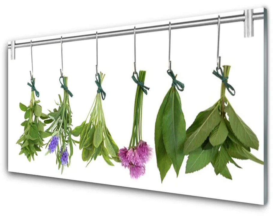 Sklenený obklad Do kuchyne Sušené byliny listy kvety 125x50 cm