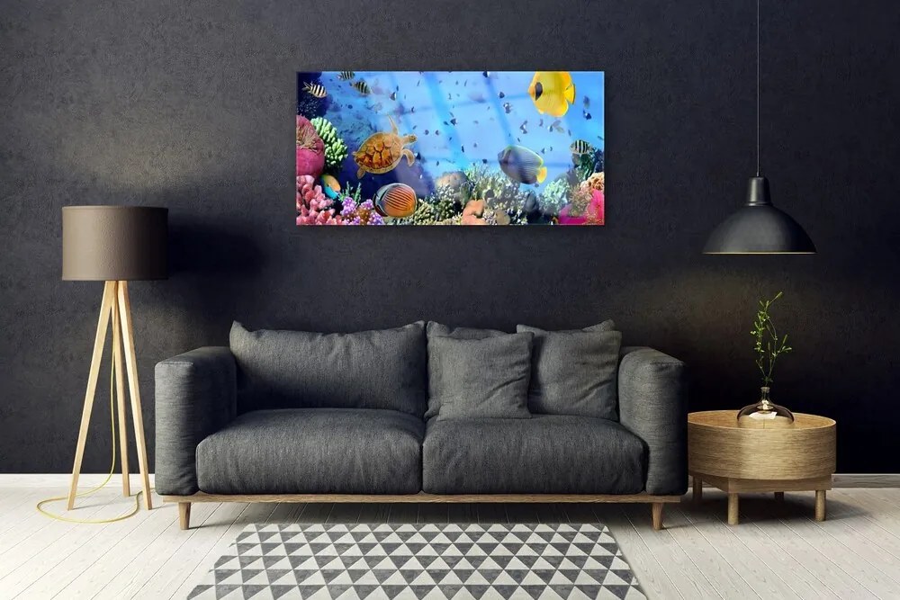 Skleneny obraz Koralový útes príroda 125x50 cm