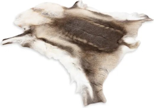 Koberec RENIFER POK008 hnedý / béžový