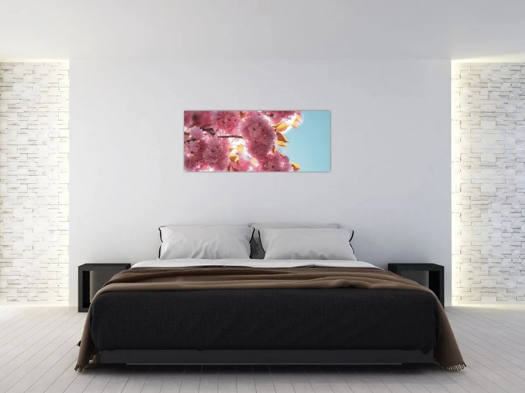 Obraz - Čerešňový kvet (120x50 cm)