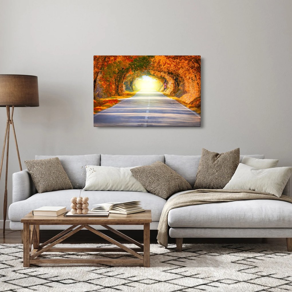 Obraz - Brána z korún stromov (90x60 cm)